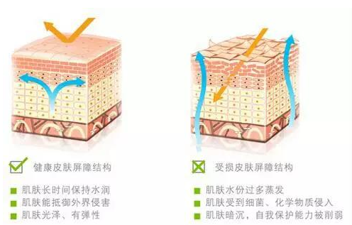 护肤品代加工