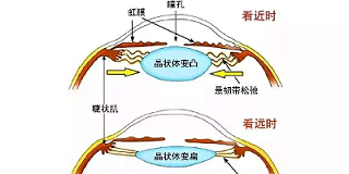 除了精油眼贴，这三种护眼方法也同样好用！