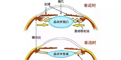 精油眼贴